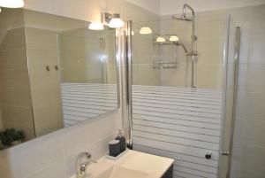 uma casa de banho com um lavatório e um chuveiro com um espelho. em Marvin's Place em Arad