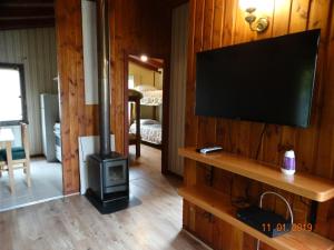 a living room with a fireplace and a flat screen tv at Cabañas Amancay in Puerto Varas
