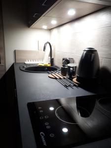 Kuchyň nebo kuchyňský kout v ubytování Vena apartment