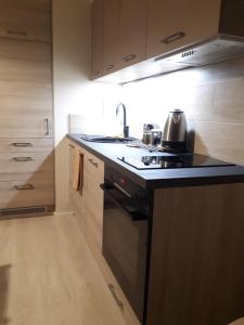 Kuchyň nebo kuchyňský kout v ubytování Vena apartment