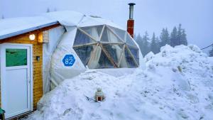 Igloo in the Woods - new, warm and inspiring зимой