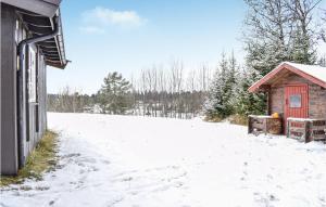 a snow covered yard next to a building with ashed at Cozy Home In Rauland With Wifi in Rauland
