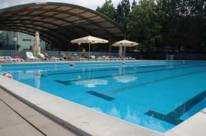 a large swimming pool with chairs and umbrellas at Villaggio Accademia in Cesenatico +27 photos