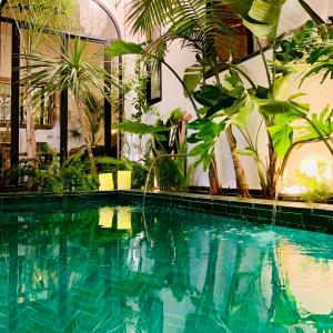 a swimming pool with plants in a building at Riad Dar Yasaman in Marrakech