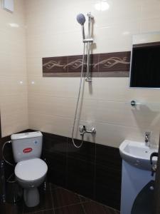 a bathroom with a shower and a toilet and a sink at Апартамент Идилия in Sapareva Banya