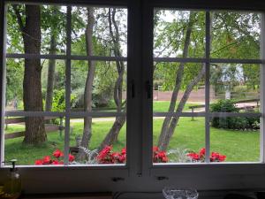 Zahrada ubytování Summerhome