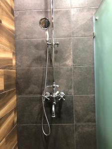 a shower with a shower head in a bathroom at Шале Леона in Arkhyz