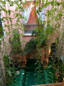 The Bohemian Jungle室外花園