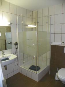 a bathroom with a shower with a sink and a toilet at Reiter- und Ferienhof Redder in Bad Driburg
