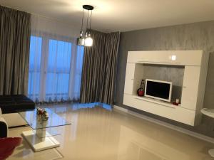 a living room with a fireplace and a tv at Apartament Denissia in Oradea