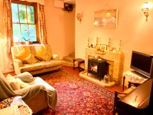 uma sala de estar com lareira e sofá em Cilffriw Farm em Neath