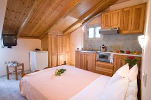 Kuchyň nebo kuchyňský kout v ubytování Pansion Filoxenia Apartments & Studios