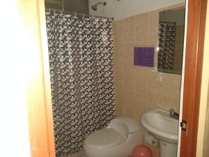a bathroom with a toilet and a sink and a shower at Hostal Lucky Puno in Puno