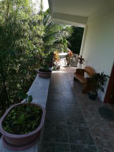 AN Velayo Homestay (ANVEL) في باسكو: ممشى به نباتات الفخار على جانب المنزل