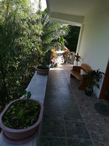 Zahrada ubytování Anvel Homestay + 19 fotografií