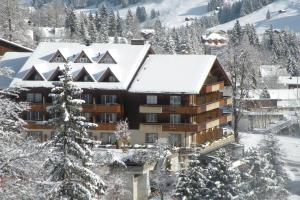 Hotel Steinmattli v zimě