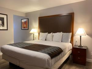 a large bed in a hotel room with two lamps at Colonial Motel in Santa Maria