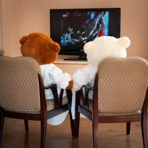 ウラジオストクにあるシビルスコエ ポドヴォリエのテレビの前に座るクマ2頭