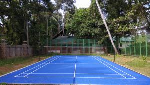 a tennis court in the yard of a house at Punnamada Resort in Alleppey