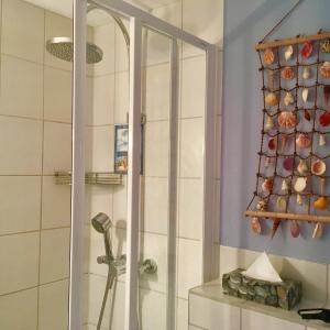 um chuveiro com uma porta de vidro na casa de banho em Kleines Haus am Hafen - ruhig und grün am Ortsrand em Prerow