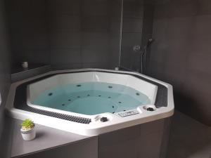 ein Bad mit einer großen Badewanne in einem Zimmer in der Unterkunft Wellness hotel Harmonie Třeboň in Třeboň
