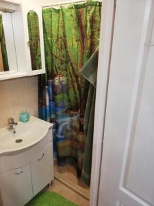 Kúpeľňa v ubytovaní Örökzöld Apartman Szeged