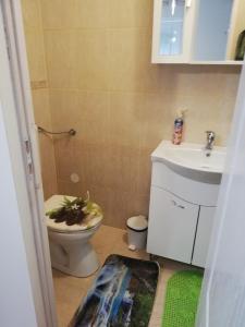 Kúpeľňa v ubytovaní Örökzöld Apartman Szeged