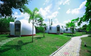 a row of white domes in a park with trees at The Lion Kingdom Sigiriya in Sigiriya