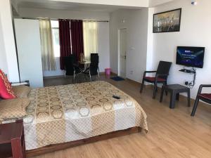 Habitación de hotel con cama y TV. en Satobari Greens Homestay, en McLeod Ganj