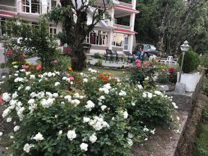 Imagen de la galería de Satobari Greens Homestay, en McLeod Ganj