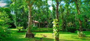 a garden with trees and a house in the background at Mango House Japanese Guest House in Negombo