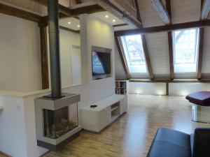 a living room with a fireplace and a tv at Nagelschmiede in Münsingen