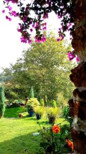 un jardín con flores y un árbol en el fondo en Apartamentos Villar, en Villar