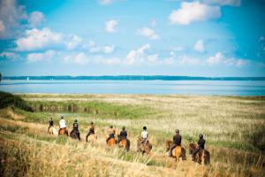 Gallery image of Ristinge Ferielejligheder in Humble