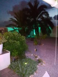 Ogród w obiekcie VILLA DOS-LAGOS