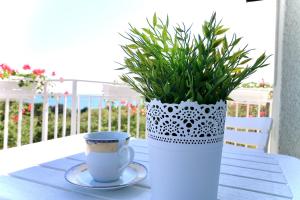 un tavolo con una tazza e un vaso con una pianta di Hotel Amfora a Sveti Konstantin i Elena