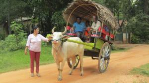 a woman standing next to a cow pulling a cart at Purasanda Villa in Sigiriya