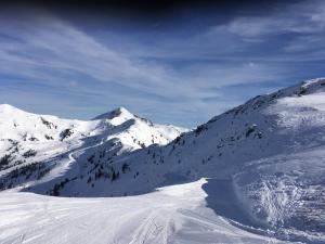 Appartement Alpenrauschen talvel