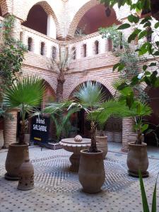 une cour avec des plantes en pot dans un bâtiment dans l'établissement Hotel Salsabil, à Marrakech