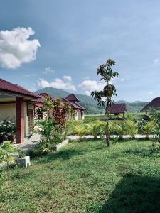 ein Haus mit einem Baum in der Mitte eines Gartens in der Unterkunft Kawah Padi Garden Villa Langkawi in Kuah