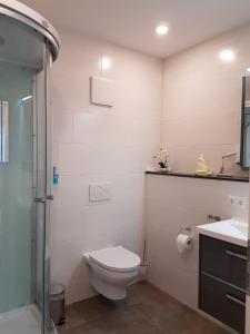 a bathroom with a toilet and a sink and a shower at Gästehaus Staudenschloss in Mickhausen