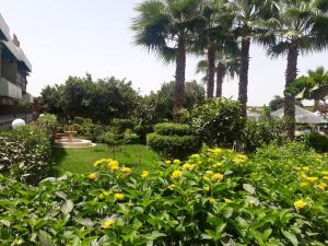 Almounia Hotel & Spa外面的花园