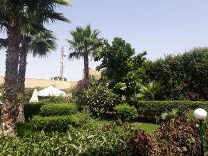 Almounia Hotel & Spa外面的花园