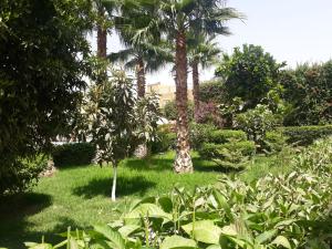 Almounia Hotel & Spa外面的花园