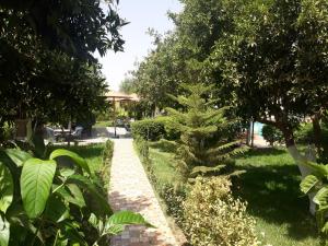 Almounia Hotel & Spa外面的花园