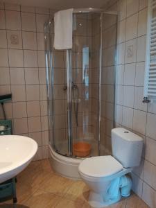 a bathroom with a shower and a toilet and a sink at Apartament Super Karpacz in Karpacz