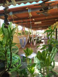 eine Terrasse mit einem Haufen Pflanzen und Schaukeln in der Unterkunft Bananoz Surfhouse in Transito