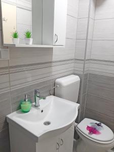 Afbeelding uit fotogalerij van Apartment Aurora in Foča