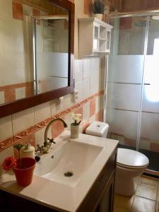 a bathroom with a sink and a toilet at Apartamento La Alcancía in Toledo