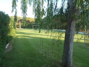 A garden outside ABULAGAR
